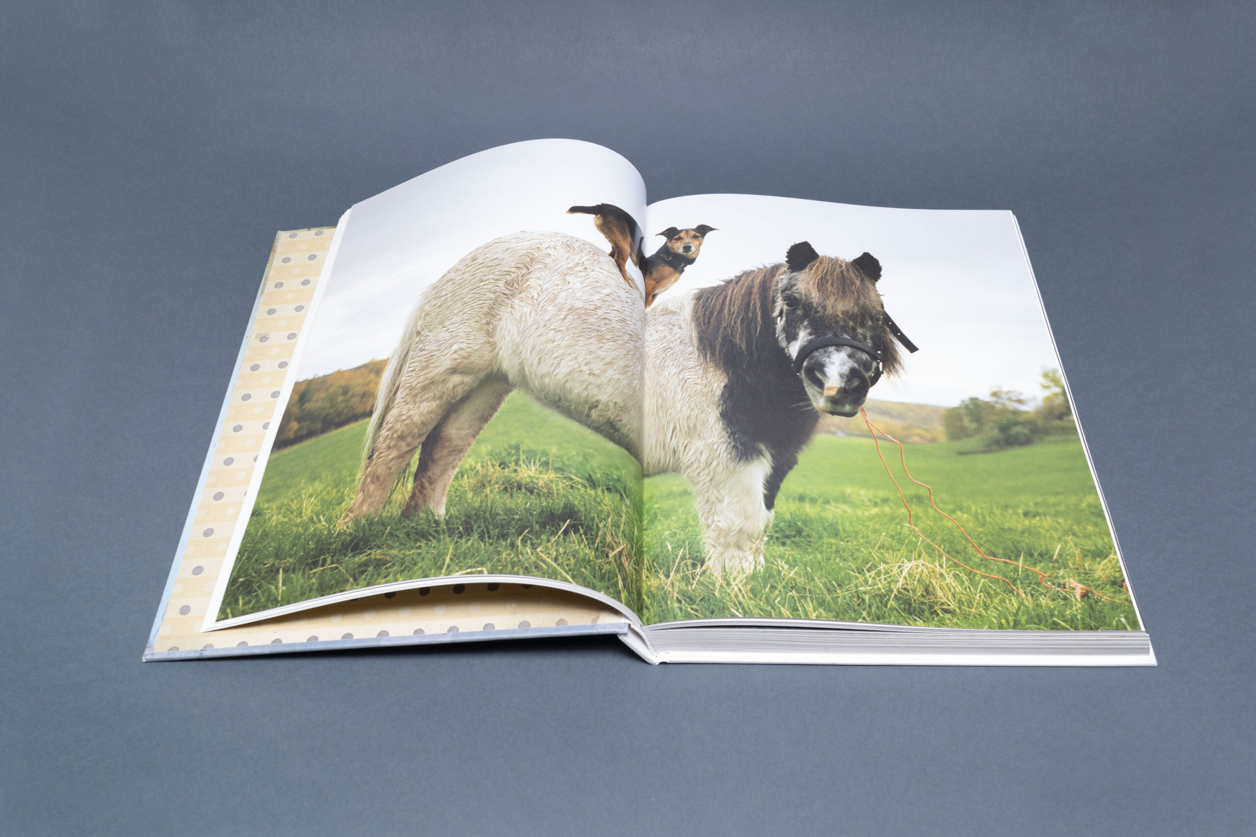 tim walter moda fashion libri fotografia arte books biblioteca lab27