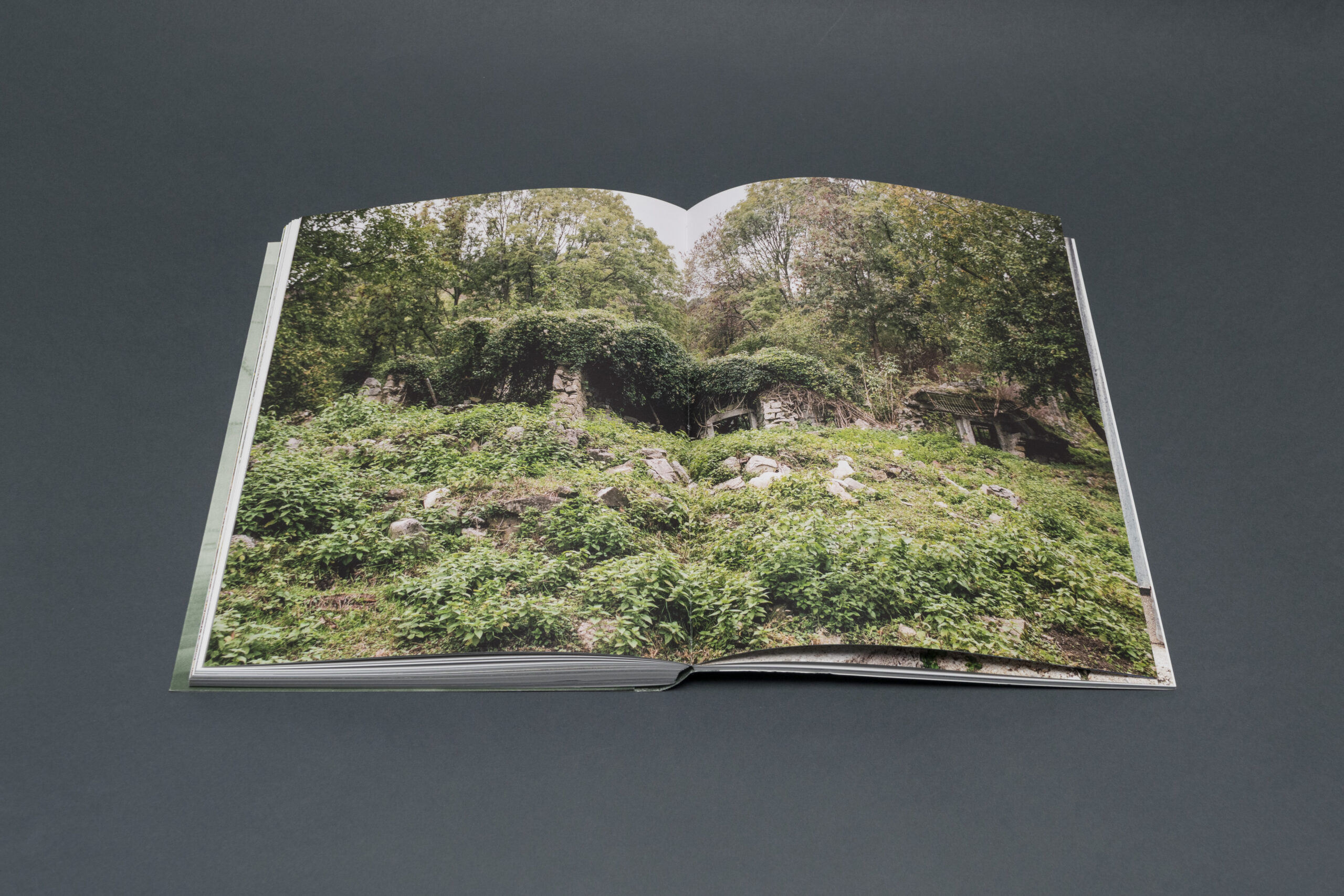 heartland Davide Degano Sclavanie Friuli montagna abbandono paesaggio borghi memoria tradizione minoranze linguistiche friulano slovenia guerra economia transizione ambiente natura prospettiva cultura lingueidentità libri fotografia arte books biblioteca lab27