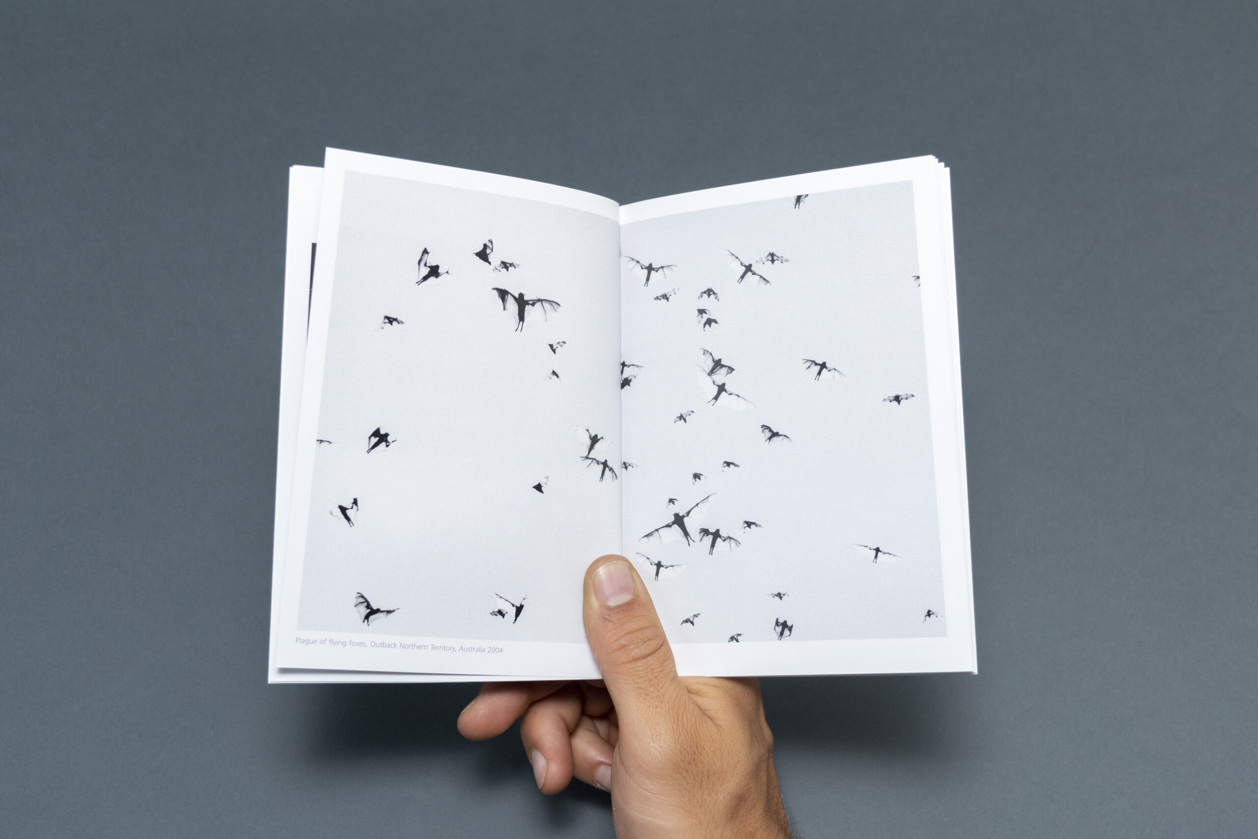 Trent Parke libri fotografia arte books biblioteca lab27 treviso australia viaggio