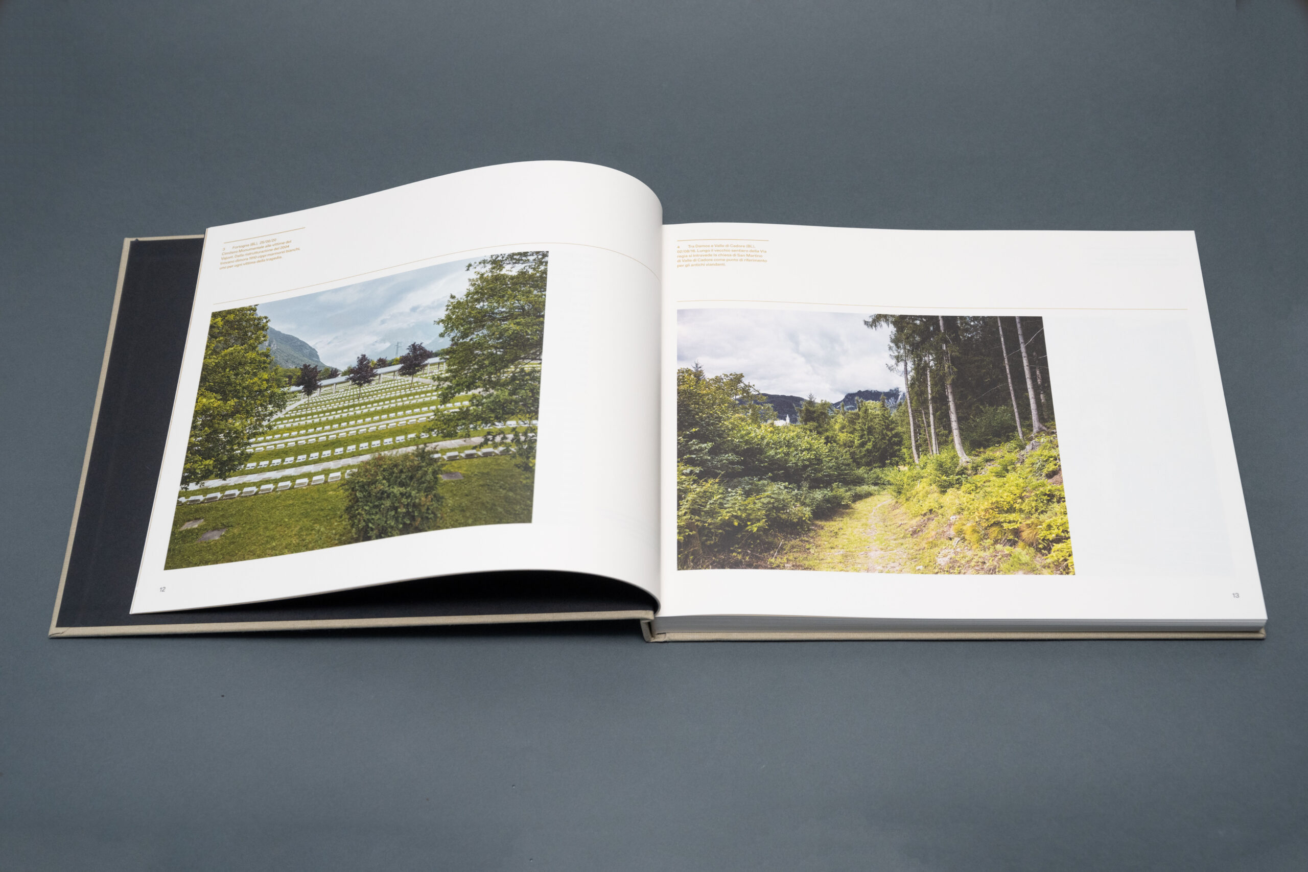 giovanni cecchinato alemagna montagna cadore dolomiti strade paesaggio veneto italia libri fotografia arte books biblioteca lab27 treviso