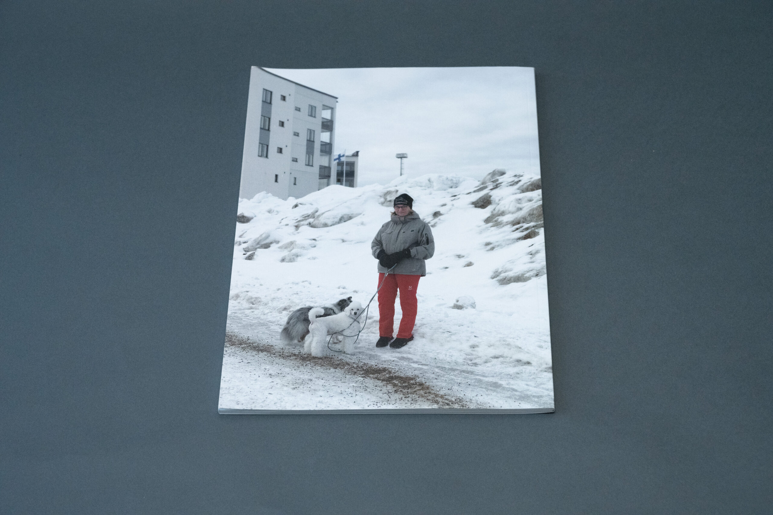 MAP6 collective landscape economy society finland wales libri fotografia arte books biblioteca lab27 treviso
