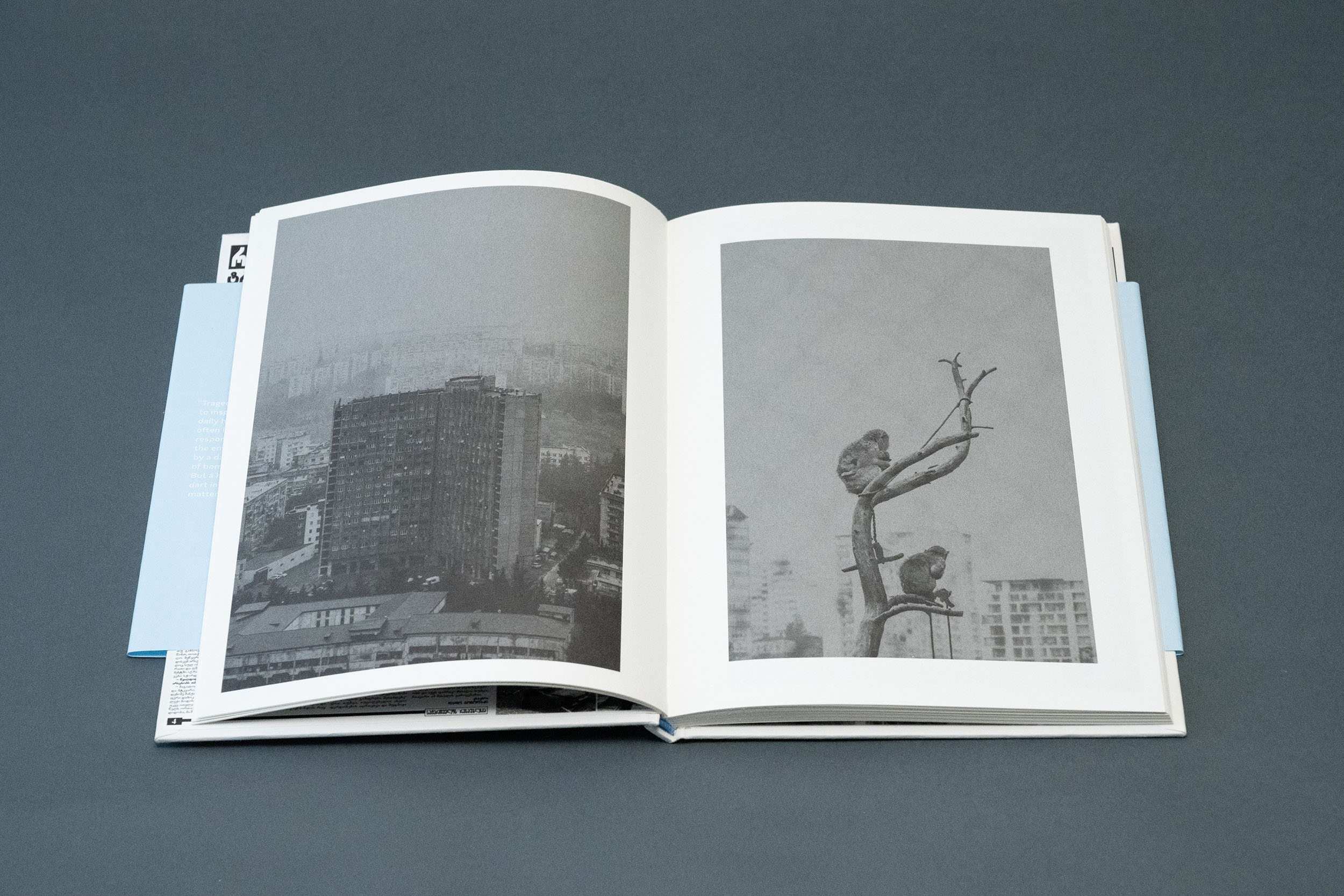 michele merlini Tbilisi georgia ambiente calamità alluvione zoo animali libri fotografia arte books biblioteca lab27 treviso