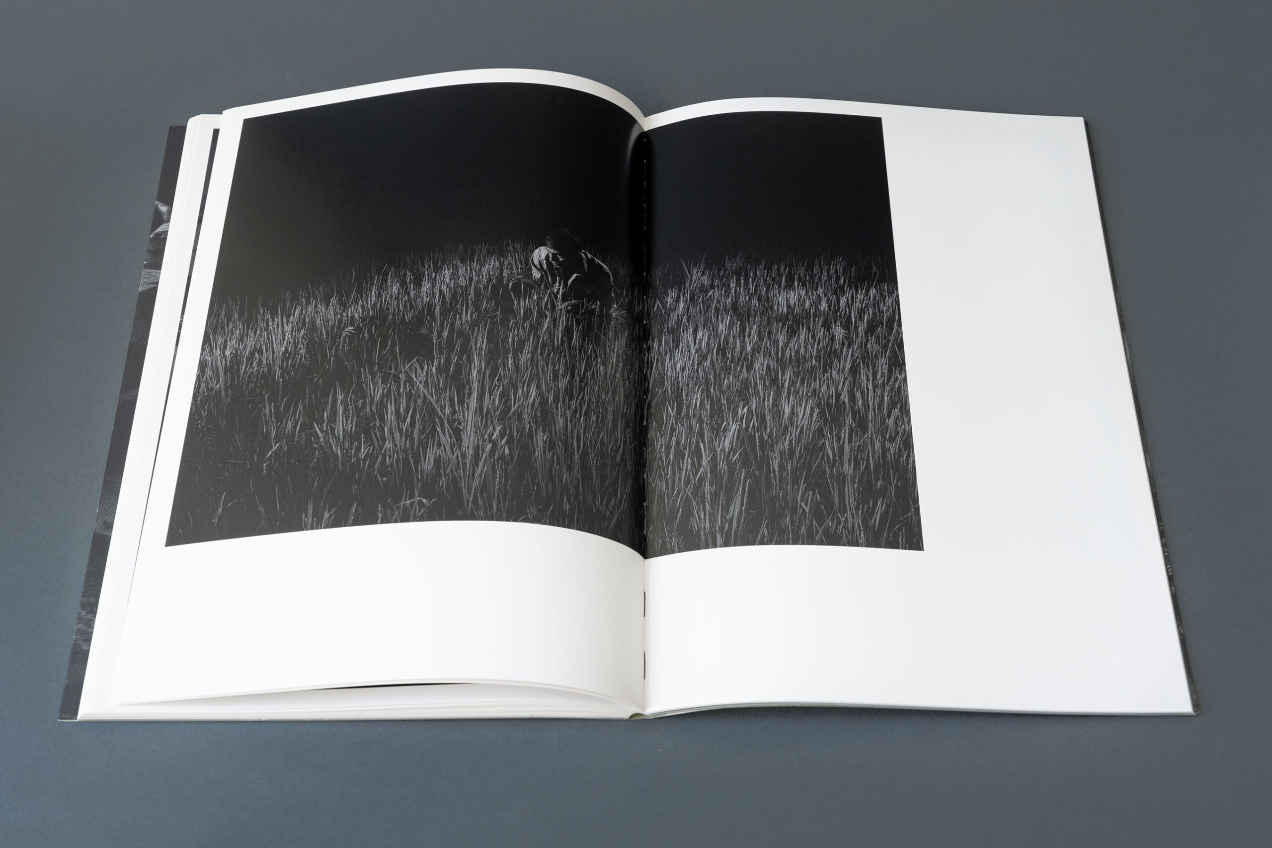 alex majoli scene magnum photos libri fotografia arte books biblioteca lab27 treviso
