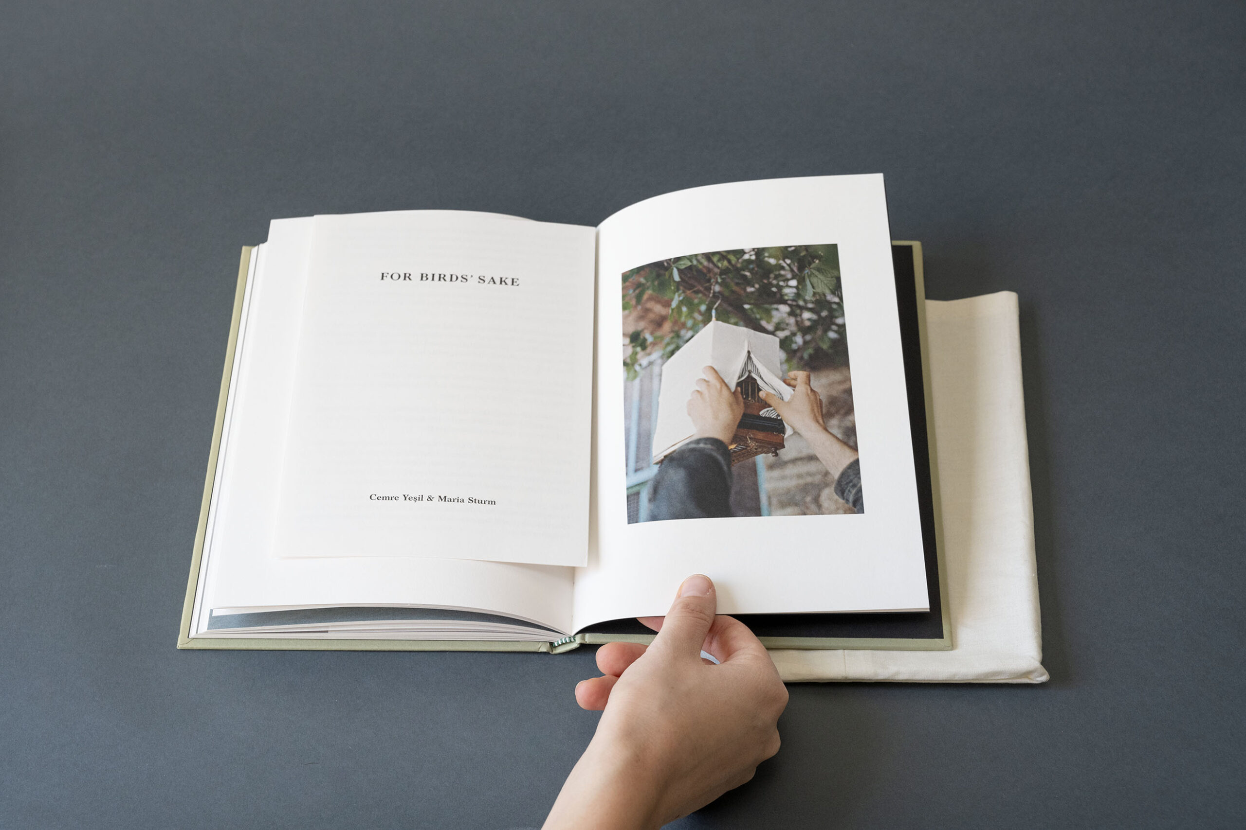 Maria Sturm birds turkey Cemre Yeşil libri fotografia arte books biblioteca lab27 treviso