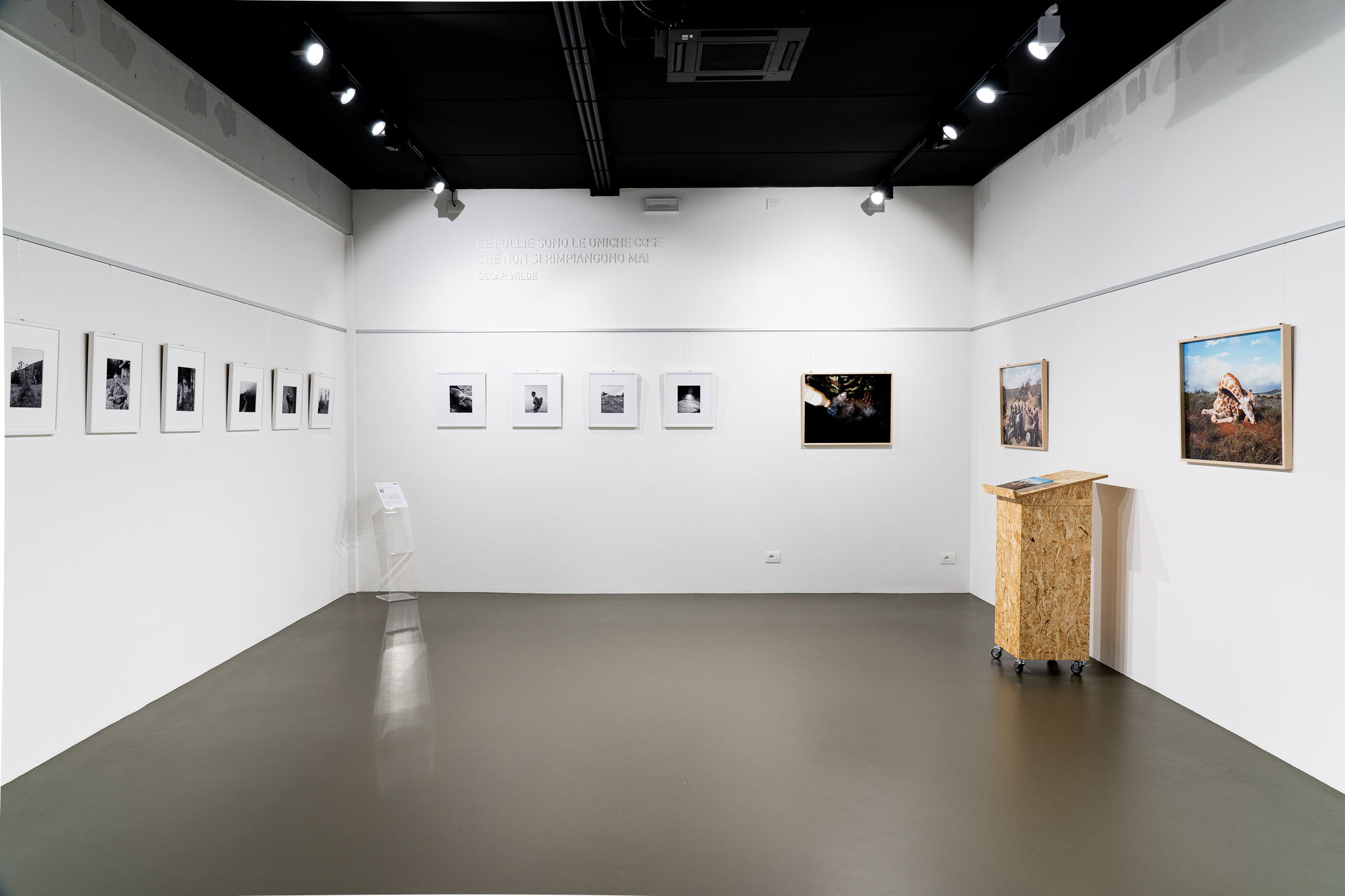 David Chancellor hunters wildlife photography mostre esposizione treviso books biblioteca lab27