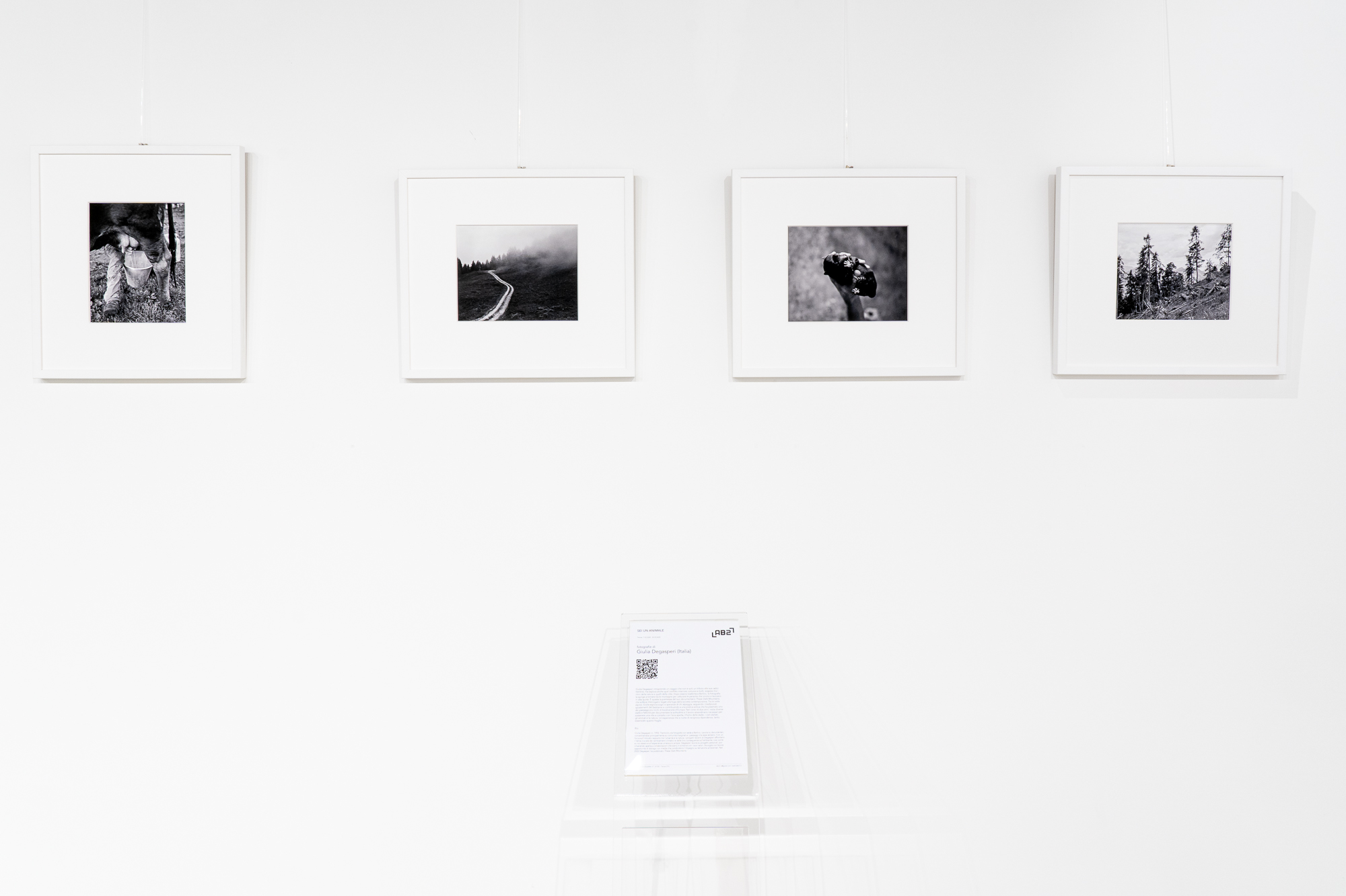 Giulia de Gasperi pastori Trento italia arte fotografia mostre esposizione treviso books biblioteca lab27