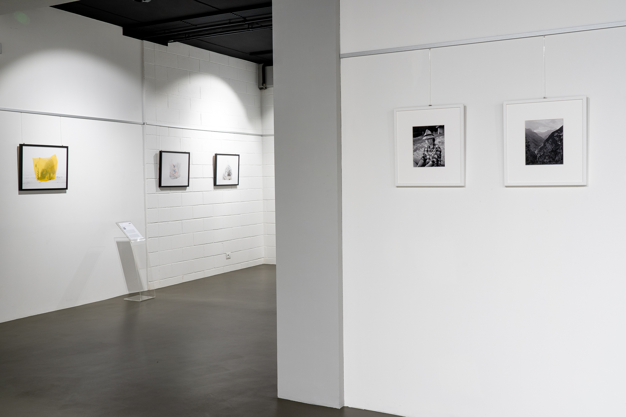David Chancellor hunters wildlife photography mostre esposizione treviso books biblioteca lab27