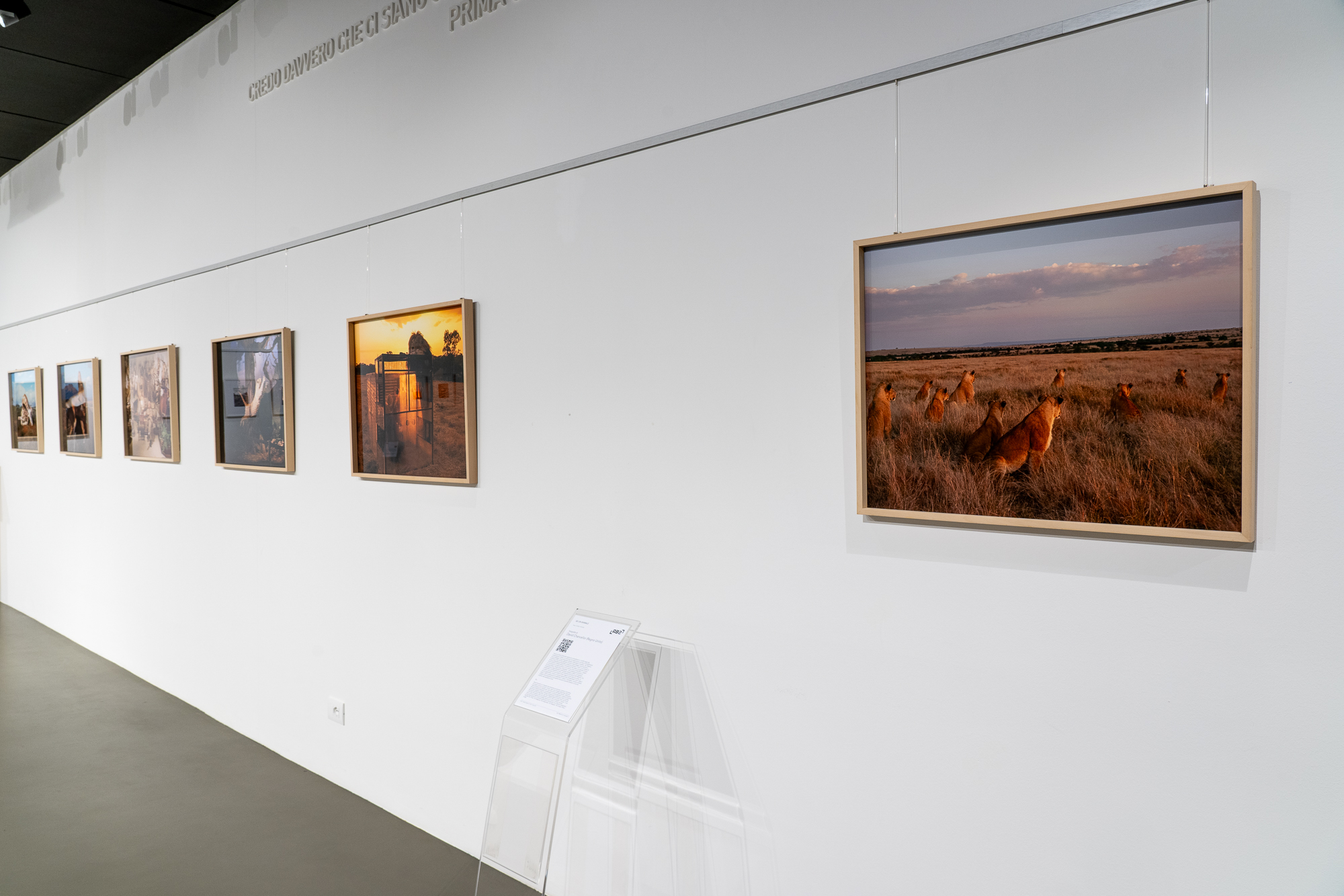David Chancellor hunters wildlife photography mostre esposizione treviso books biblioteca lab27