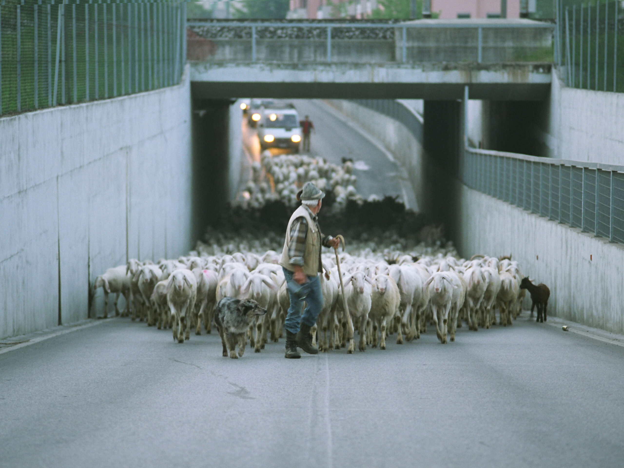 Giancarlo Rado pastori Italia Treviso foto documentario paesaggio fotografia comunità libri fotografia arte mostre esposizione treviso books biblioteca lab27